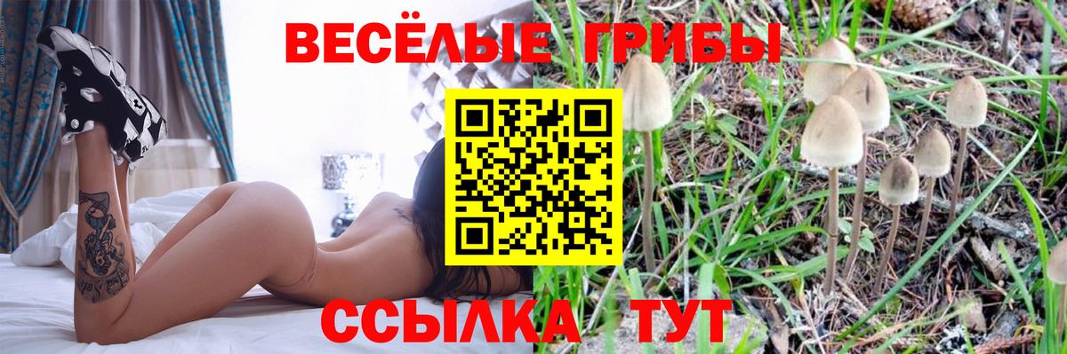 Псилоцибиновые грибы GOLDEN TEACHER Нерюнгри