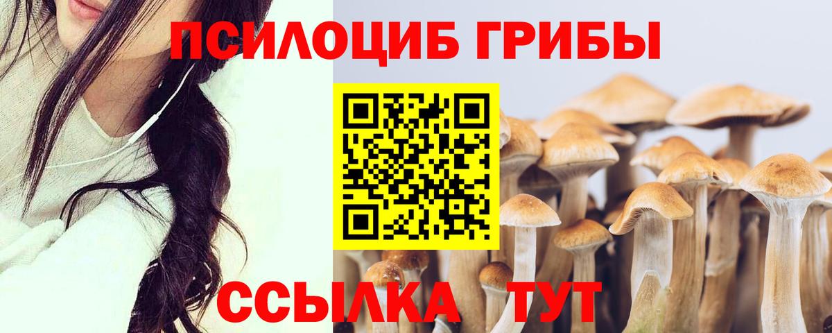 Нерюнгри  Галлюциногенные грибы MAGIC MUSHROOMS  Вход с VPN 